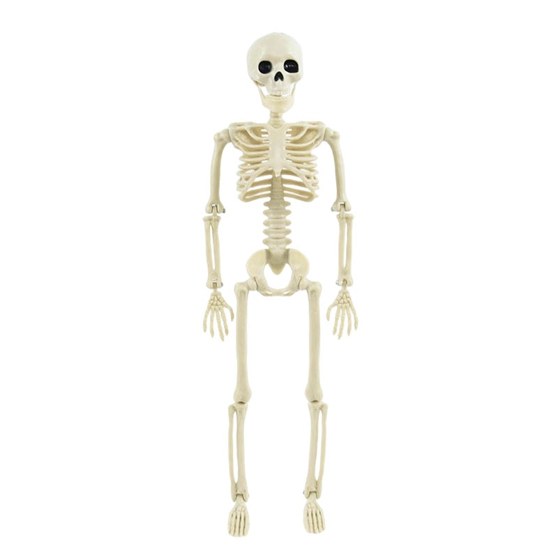 Halloween Movable Skeleton Fake Human Skull Bones Halloween Party Home Bar Decorations Haunted House Horror Props Ornament Toys