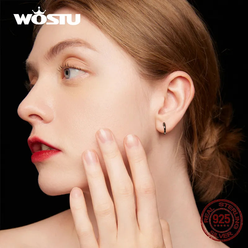 WOSTU 925 Sterling Silver Classic Round Silver Hoop Earrings Authentic Clear Zircon Earrings for Women Jewelry CQE498