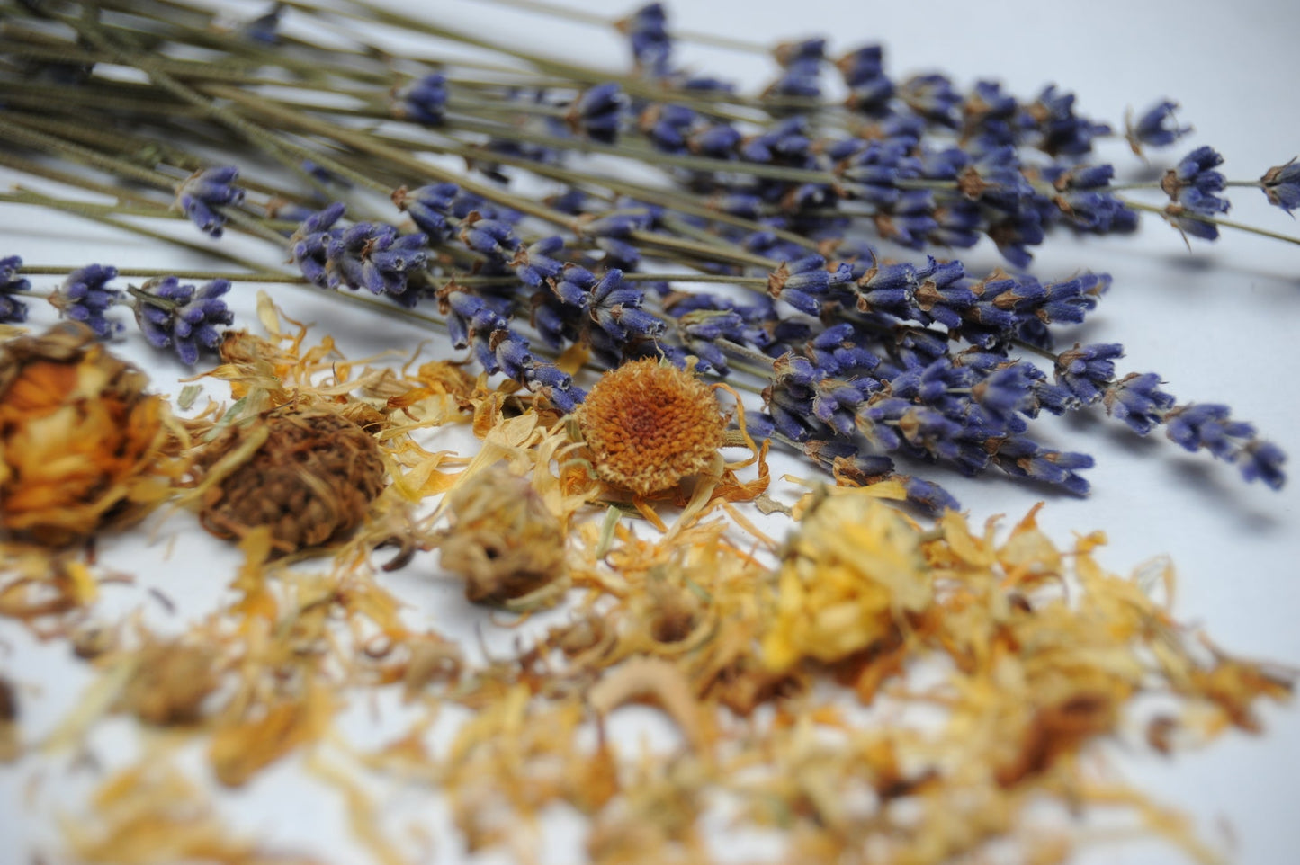 Calendula Botanical Wax Sachet