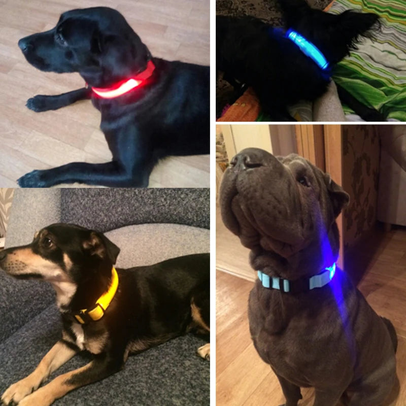 YUDODO Nylon LED Pet Dog Collars for Animals Night Safety Flashing Glow Dog Leash Dogs Luminous Fluorescent Collars Pet Supplies