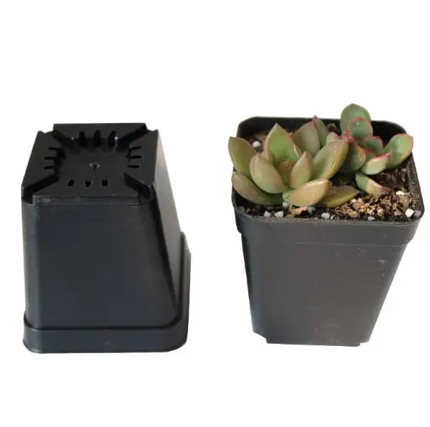 10pcs/Lot 7*7*8cm Black Color Flower Pots Planters Pot Trays Plastic Pots Creative Small Square Pots for Succulent Plants GYH