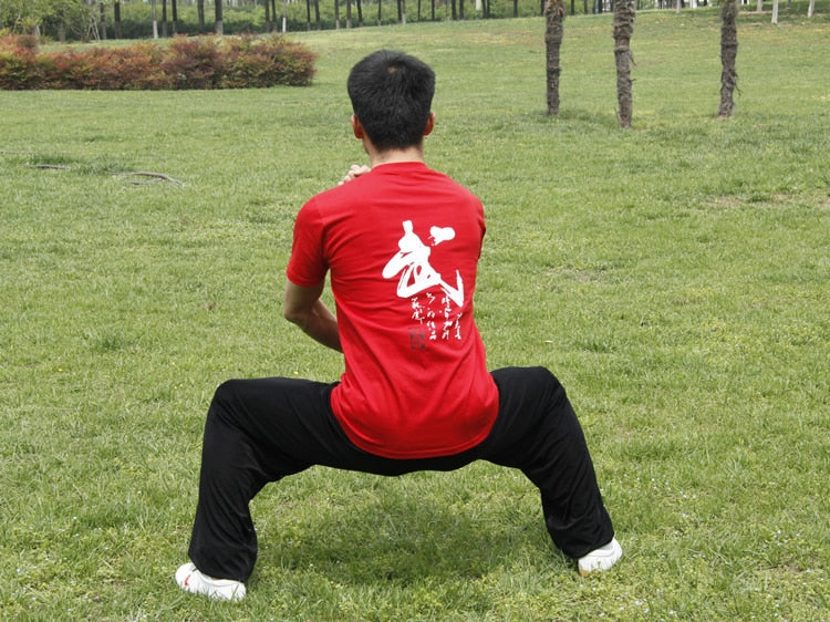 New Martial Arts T-Shirts Wu Word T-Shirt Pure Fine Carding Training T - Shirt Short Sleeves the Chinese Wushu Association