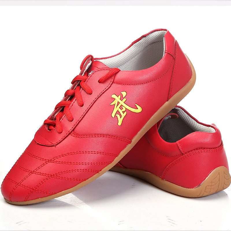 Yiwutang Kids Kung Fu Shoes Chinese Martial Arts Wushu and Taichi Shoes for Men