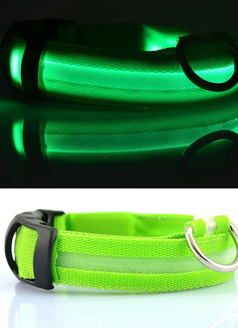 YUDODO Nylon LED Pet Dog Collars for Animals Night Safety Flashing Glow Dog Leash Dogs Luminous Fluorescent Collars Pet Supplies