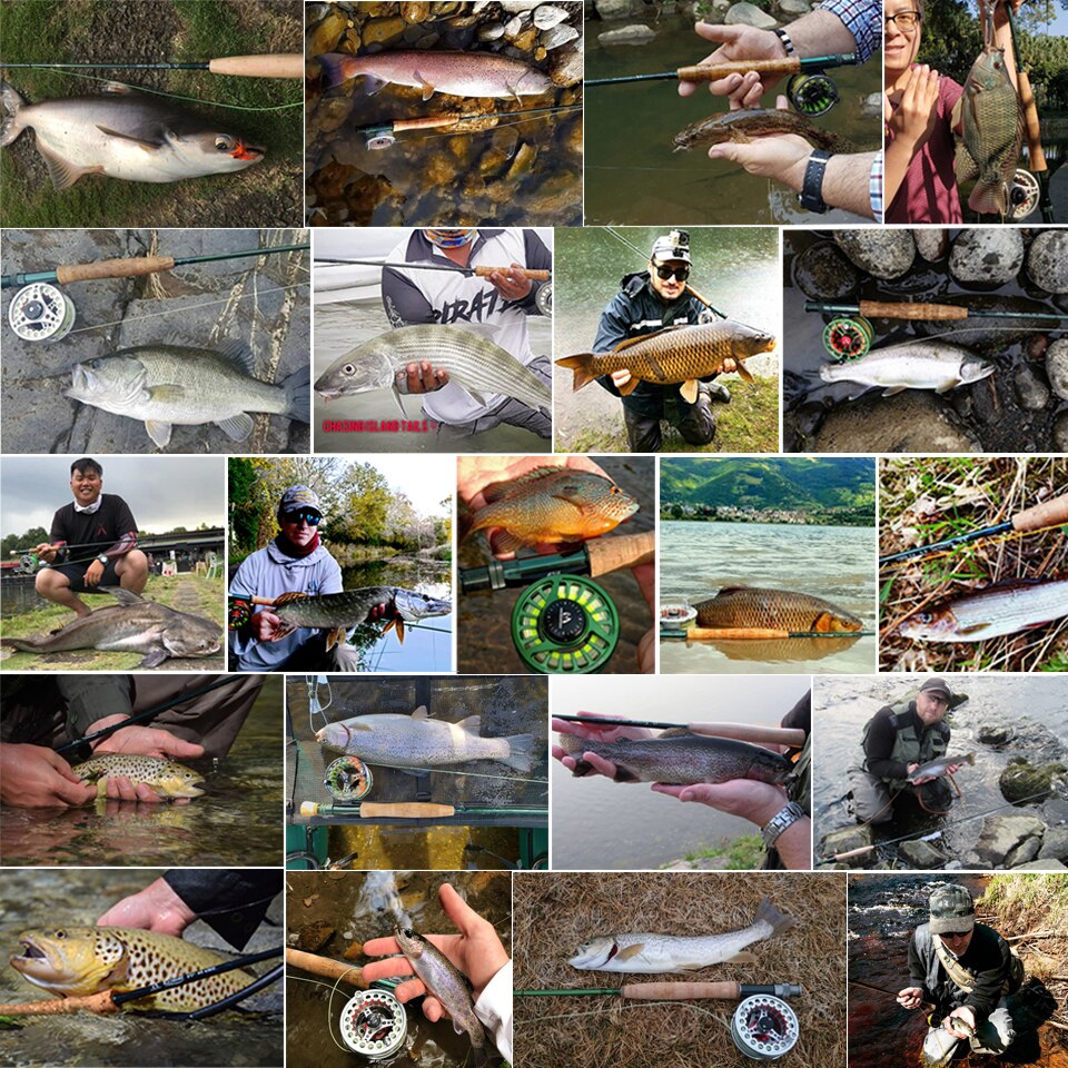 Maximumcatch Fly Rod and Reel Combo 8'4"/8'6'/9'/9'6'' 3/4/5/6/7/8wt Carbon Fishing Rod With Large Arbor Aluminum Reel