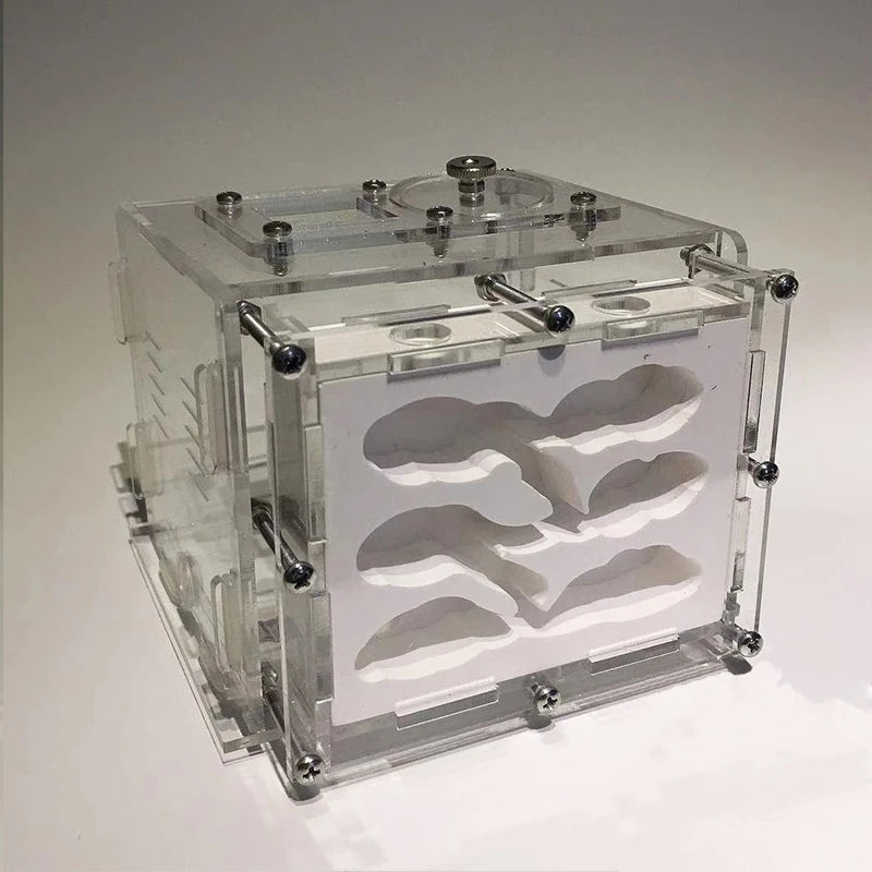 New DIY Gypsum Ant Farm Plaster Ant Nest With Feeding Area Moisturize Ecological Ant House Workshop for Pet Anthill