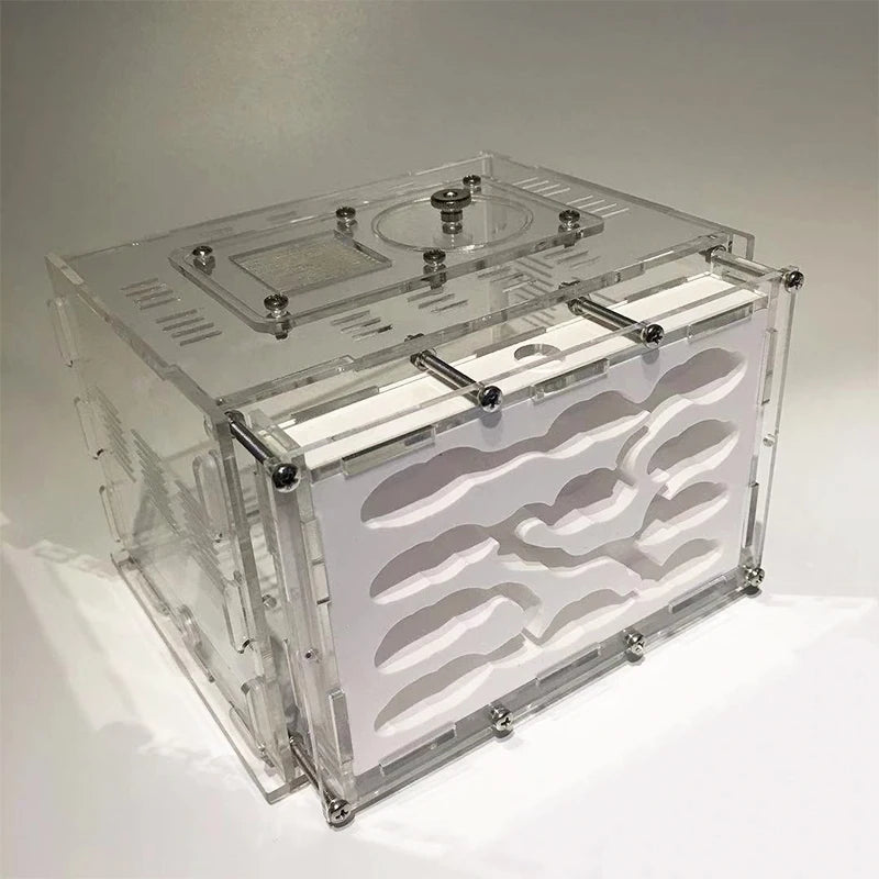 New DIY Gypsum Ant Farm Plaster Ant Nest With Feeding Area Moisturize Ecological Ant House Workshop for Pet Anthill
