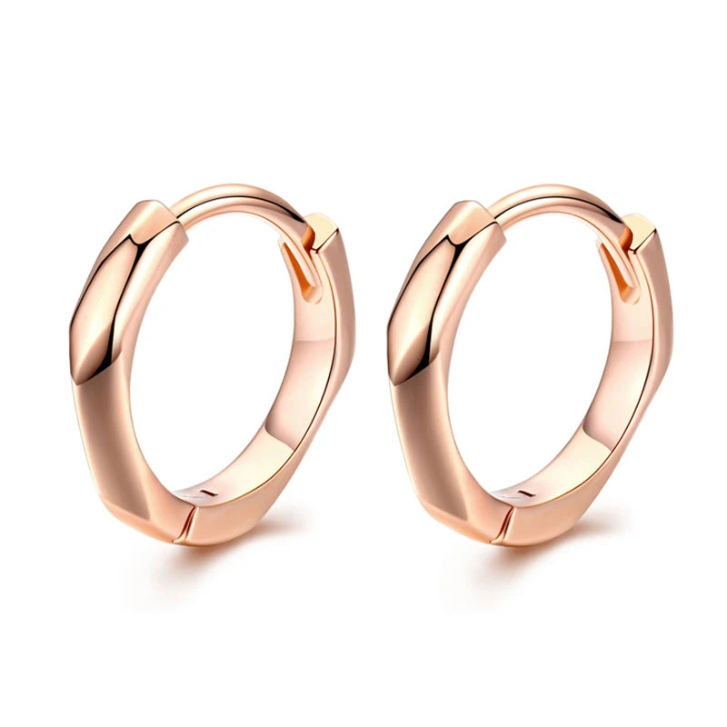 WOSTU 925 Sterling Silver Classic Round Silver Hoop Earrings Authentic Clear Zircon Earrings for Women Jewelry CQE498