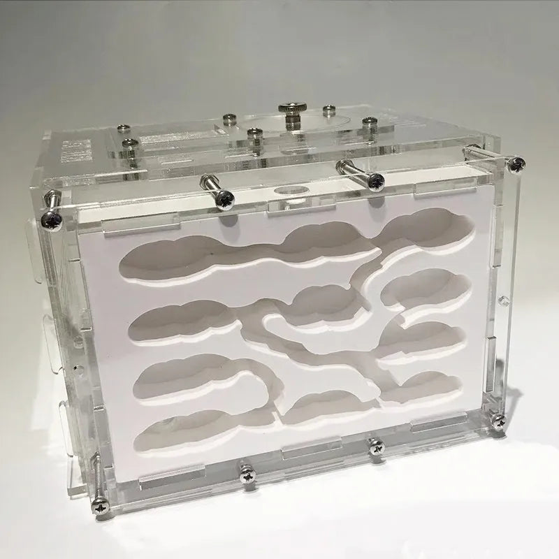 New DIY Gypsum Ant Farm Plaster Ant Nest With Feeding Area Moisturize Ecological Ant House Workshop for Pet Anthill