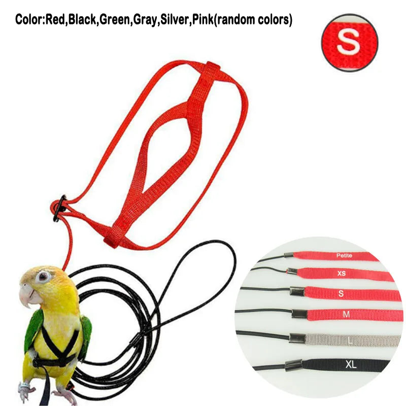 Bird Harness Leash Anti-Bite Training Rope Outdoor Flying Harness Leash
