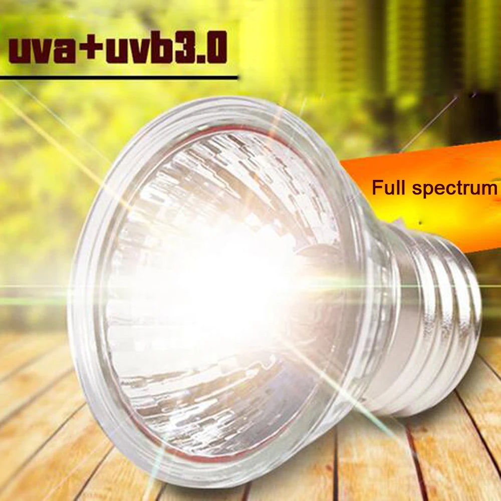 UVA+UVB 3.0 Reptile Lamp Kit With Clip-On Ceramic Light Holder Turtle Basking UV Heating Lamp Set Tortoises Lizard Lighting 220V