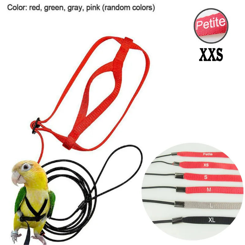Bird Harness Leash Anti-Bite Training Rope Outdoor Flying Harness Leash