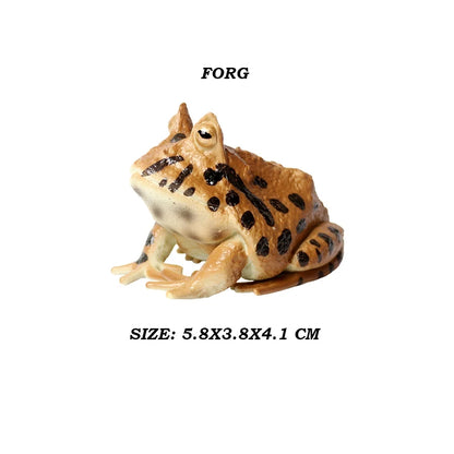 Figure Toy Frog Models Rainforest Animal Figurines TreeFrog Rana Deltoides Action Figures Bullfrog Animals Toys Games Kids Gifts
