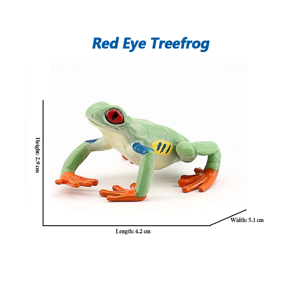 Figure Toy Frog Models Rainforest Animal Figurines TreeFrog Rana Deltoides Action Figures Bullfrog Animals Toys Games Kids Gifts
