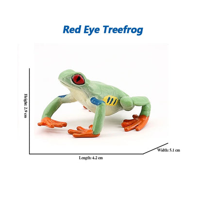 Figure Toy Frog Models Rainforest Animal Figurines TreeFrog Rana Deltoides Action Figures Bullfrog Animals Toys Games Kids Gifts