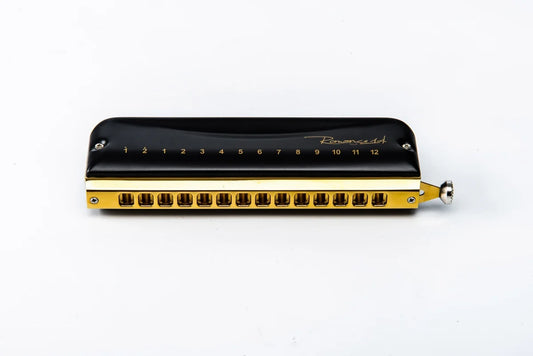 East Top Chromatic Harmonica Key of C 14 Hole AL Professional Mouth Organ Harmonica for Adults, Professional Player, Beginners