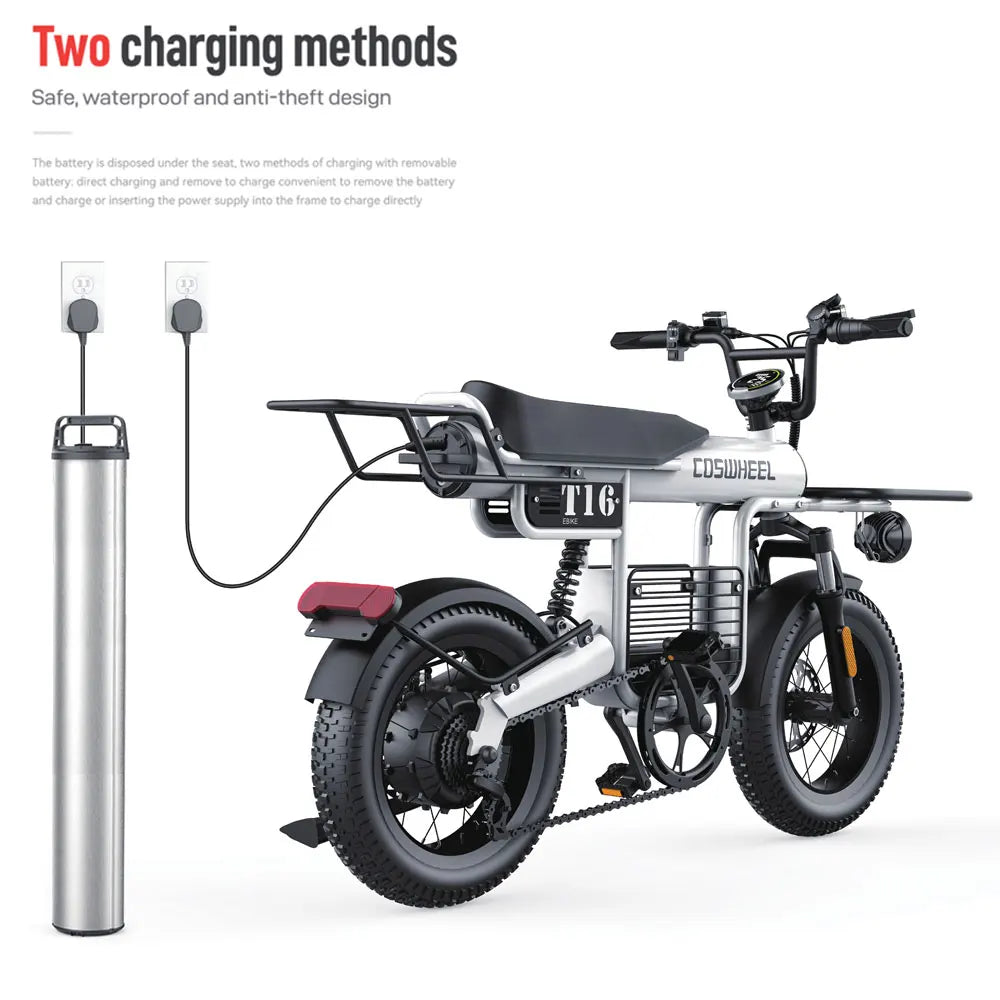 Coswheel Electric Bike T16 Adult Mountain Ebikes Road Ebike 1000W 48V 20AH Fat Tire Cycling Outdoor City Commuting Electric Bike