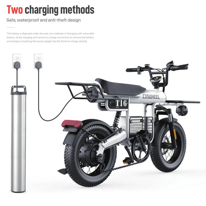 Coswheel Electric Bike T16 Adult Mountain Ebikes Road Ebike 1000W 48V 20AH Fat Tire Cycling Outdoor City Commuting Electric Bike