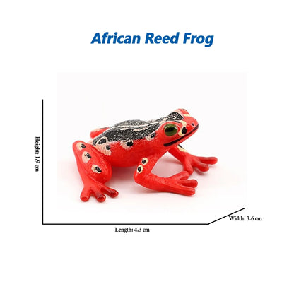 Figure Toy Frog Models Rainforest Animal Figurines TreeFrog Rana Deltoides Action Figures Bullfrog Animals Toys Games Kids Gifts