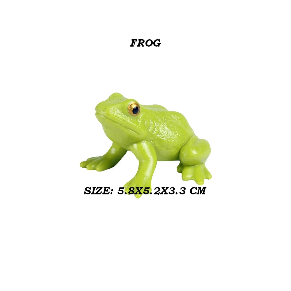 Figure Toy Frog Models Rainforest Animal Figurines TreeFrog Rana Deltoides Action Figures Bullfrog Animals Toys Games Kids Gifts