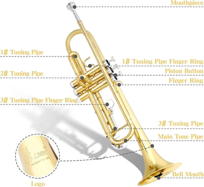 SLADE Bb Trumpet Brass Instrument Standard Brass Trumpet Set for Students Beginners Professional Trumpet Gold Silver With Box