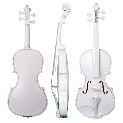 NAOMI 4/4 Full Size Acoustic Violin Colored Basswood Fiddle Black Solidwood Fitted Violin With Carrying Case Brazilwood Bow