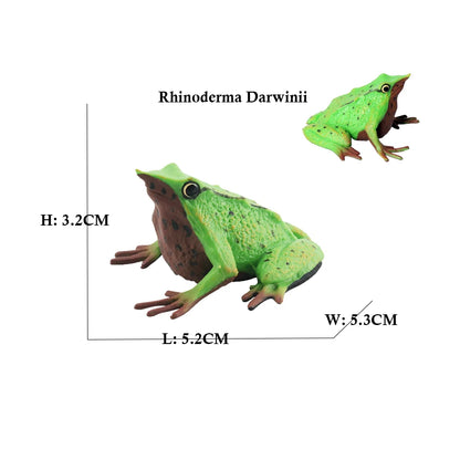 Figure Toy Frog Models Rainforest Animal Figurines TreeFrog Rana Deltoides Action Figures Bullfrog Animals Toys Games Kids Gifts