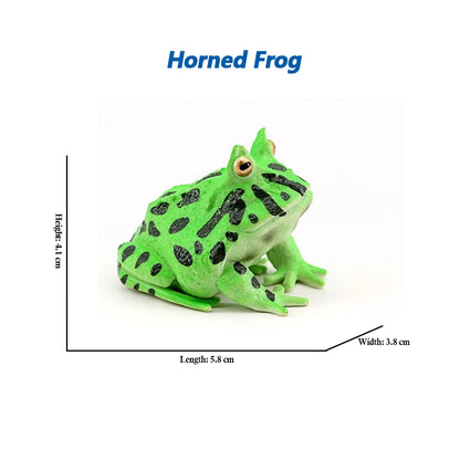 Figure Toy Frog Models Rainforest Animal Figurines TreeFrog Rana Deltoides Action Figures Bullfrog Animals Toys Games Kids Gifts