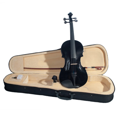 NAOMI 4/4 Full Size Acoustic Violin Colored Basswood Fiddle Black Solidwood Fitted Violin With Carrying Case Brazilwood Bow