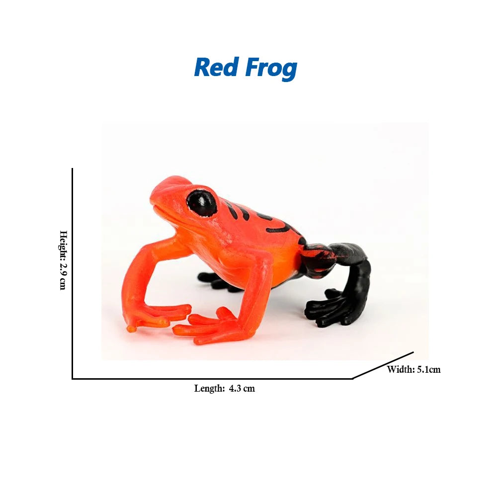Figure Toy Frog Models Rainforest Animal Figurines TreeFrog Rana Deltoides Action Figures Bullfrog Animals Toys Games Kids Gifts