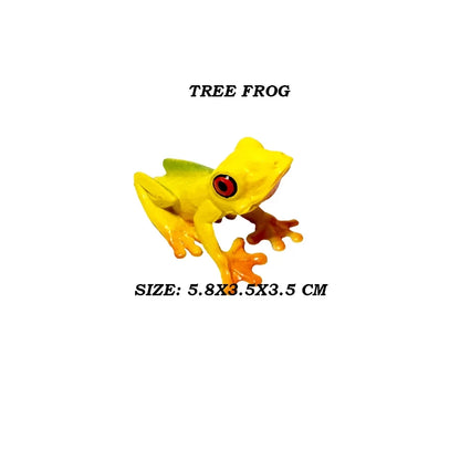 Figure Toy Frog Models Rainforest Animal Figurines TreeFrog Rana Deltoides Action Figures Bullfrog Animals Toys Games Kids Gifts