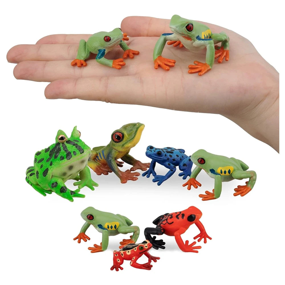 Figure Toy Frog Models Rainforest Animal Figurines TreeFrog Rana Deltoides Action Figures Bullfrog Animals Toys Games Kids Gifts