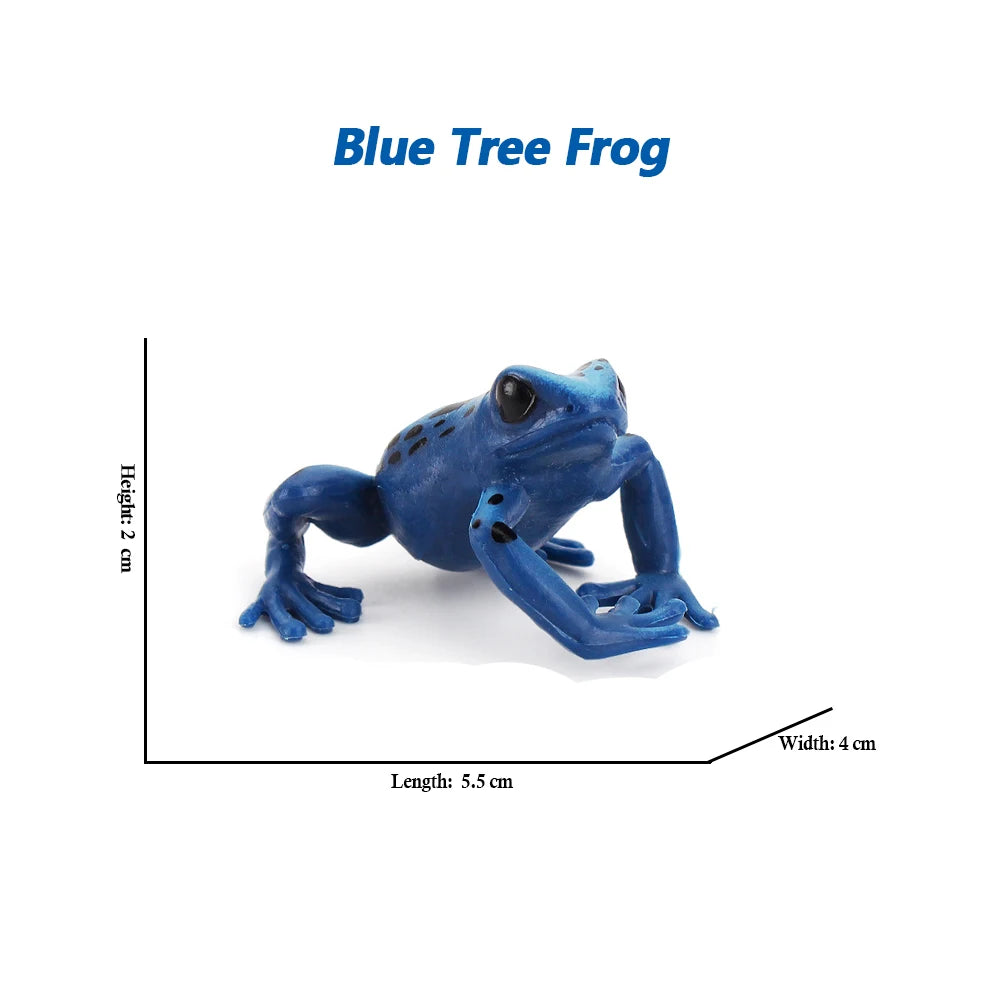 Figure Toy Frog Models Rainforest Animal Figurines TreeFrog Rana Deltoides Action Figures Bullfrog Animals Toys Games Kids Gifts