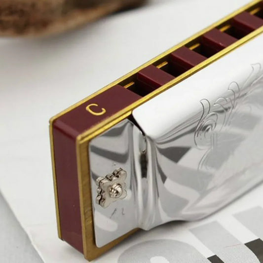Hot Sale New Silver Suzuki 10 Holes Harmonica Folk Master Mouth Organ C Key Diatonic Blues With Nice Box Instrumentos Musicais