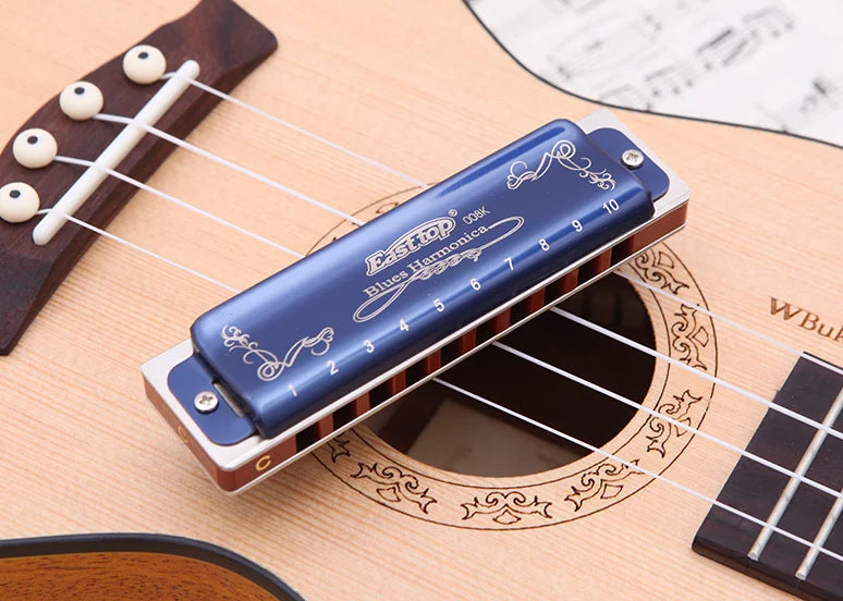 East Top Harmonica Professional Diatonic Blues Harmonica Mouth Organ  for Player,Beginner,Birthday Gift