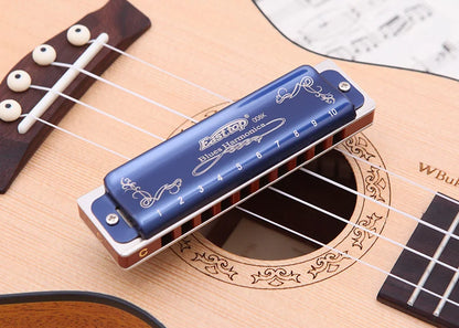 East Top Harmonica Professional Diatonic Blues Harmonica Mouth Organ  for Player,Beginner,Birthday Gift