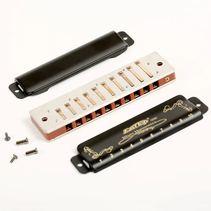East Top Diatonic Harmonica 10 Holes Blues Harmonica Black T008K With Case Professional Harmonica for Beginner Students Adults