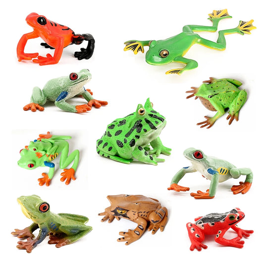Figure Toy Frog Models Rainforest Animal Figurines TreeFrog Rana Deltoides Action Figures Bullfrog Animals Toys Games Kids Gifts