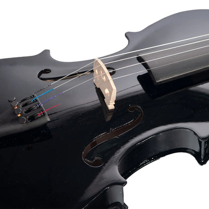 NAOMI 4/4 Full Size Acoustic Violin Colored Basswood Fiddle Black Solidwood Fitted Violin With Carrying Case Brazilwood Bow