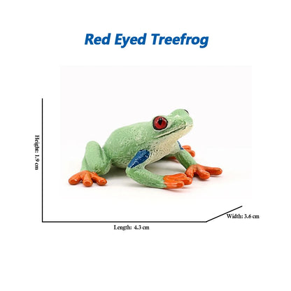 Figure Toy Frog Models Rainforest Animal Figurines TreeFrog Rana Deltoides Action Figures Bullfrog Animals Toys Games Kids Gifts