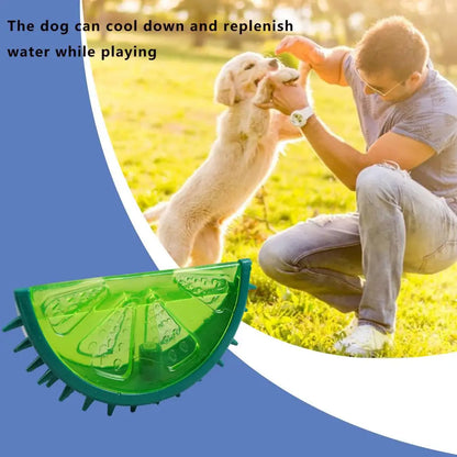 Summer Cooling Dog Toys Fruit Shape Chew Puppy Toy Frozen Ice Dog Squeaky Rubber Toy Lemon Pineapple Watermelon Dog Toothbrush