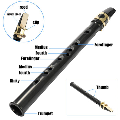Pocket Saxophone Sax Mini Saxophone Portable Little Saxophone With Carrying Bag Woodwind Instrument