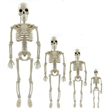 Halloween Realistic Body Bones Movable/Posable Joints Simulation Skull Ornament Festival Theme Full Size Home Party Decorations
