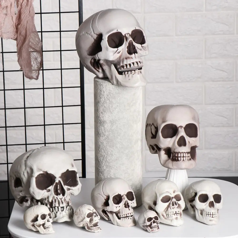 All Size Plastic Human Skull Head Skeleton Halloween Style Photo Prop Cranium Haunted House Statue Party Decor Game Supplies