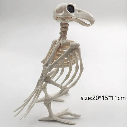 Crazy Bone Skeleton Raven Plastic Animal Skeleton Bones Horror Halloween Party Prop Decoration Bird Crow Skeleton Decoration
