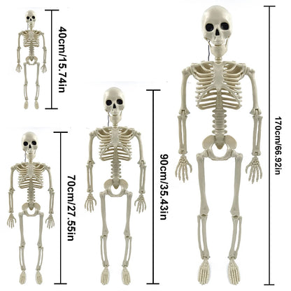 Halloween Realistic Body Bones Movable/Posable Joints Simulation Skull Ornament Festival Theme Full Size Home Party Decorations