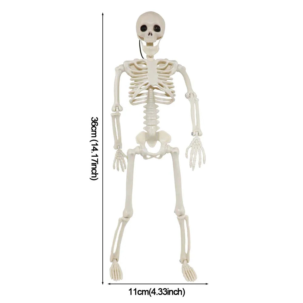 1/2pcs Halloween Skull Bat Skeleton Human Shape Bones Halloween Party Supply Home Garden Decoration Haunted House Horror Props