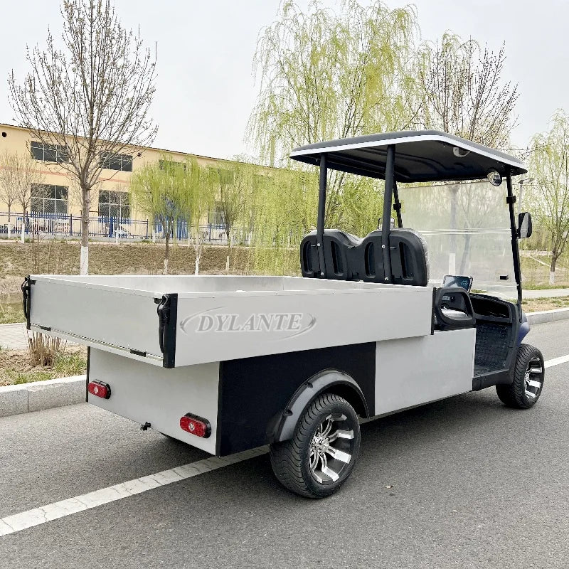 High Quality Street Legal Two Seater 48V 72v Electric Golf Cart Golf Hunting Cart With Cargo Box Golf Utility Cart and Farm Cart