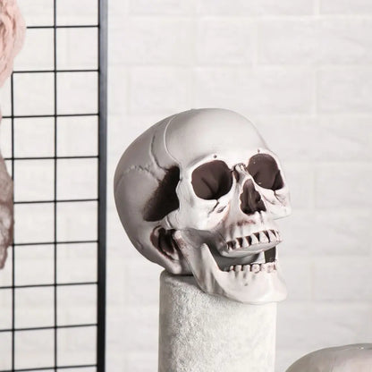 All Size Plastic Human Skull Head Skeleton Halloween Style Photo Prop Cranium Haunted House Statue Party Decor Game Supplies