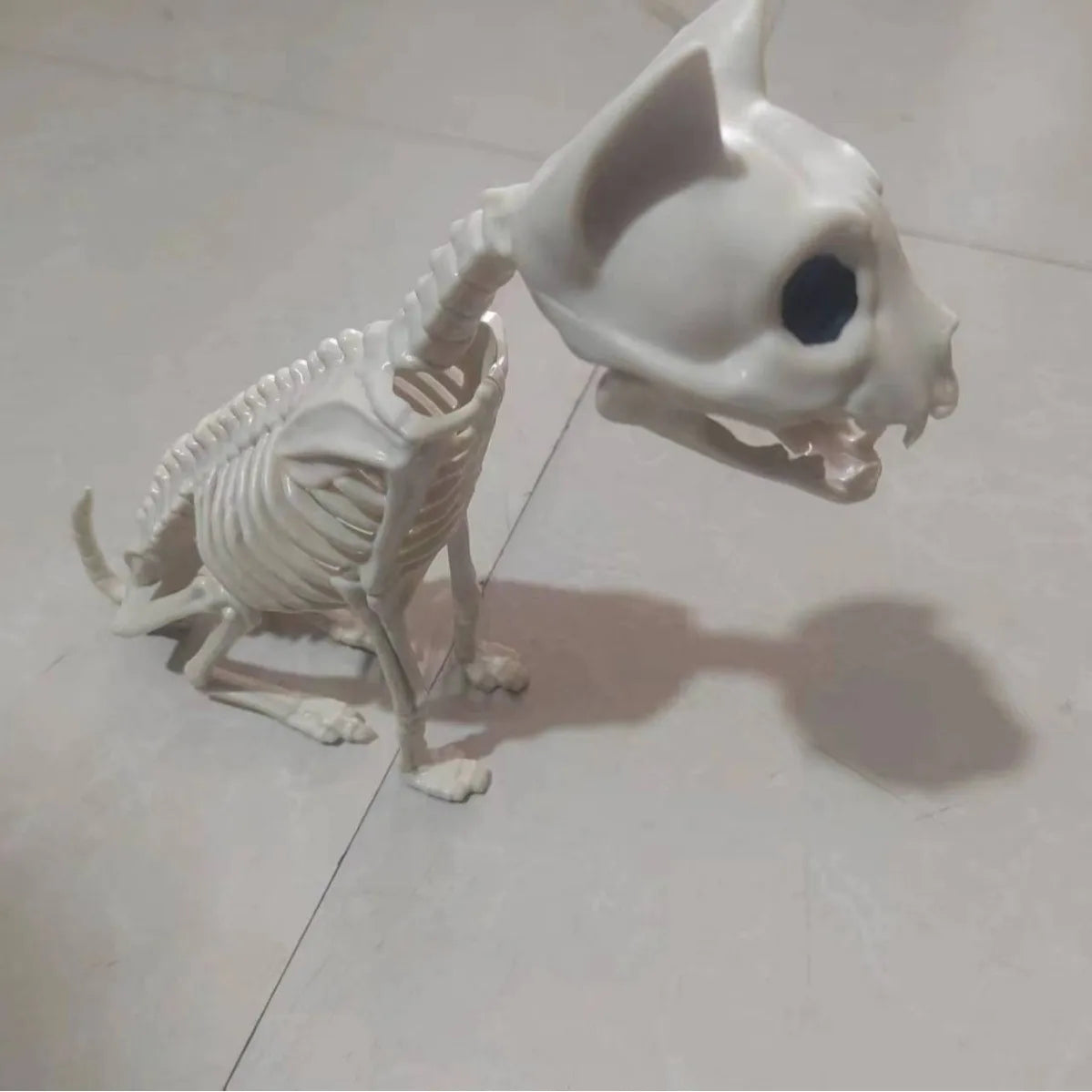 Halloween Animal Skeleton Cat and Mouse Skeleton Skeleton Model Halloween Horror Decoration Haunted House Decoration Props